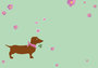 Envelope Set C6 - Dachshund flowers_