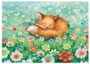 Postcard 465 by Katja Saario - Sleeping in a field of flowers_