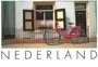 Postcard | Pink Bike and Red Flowers_